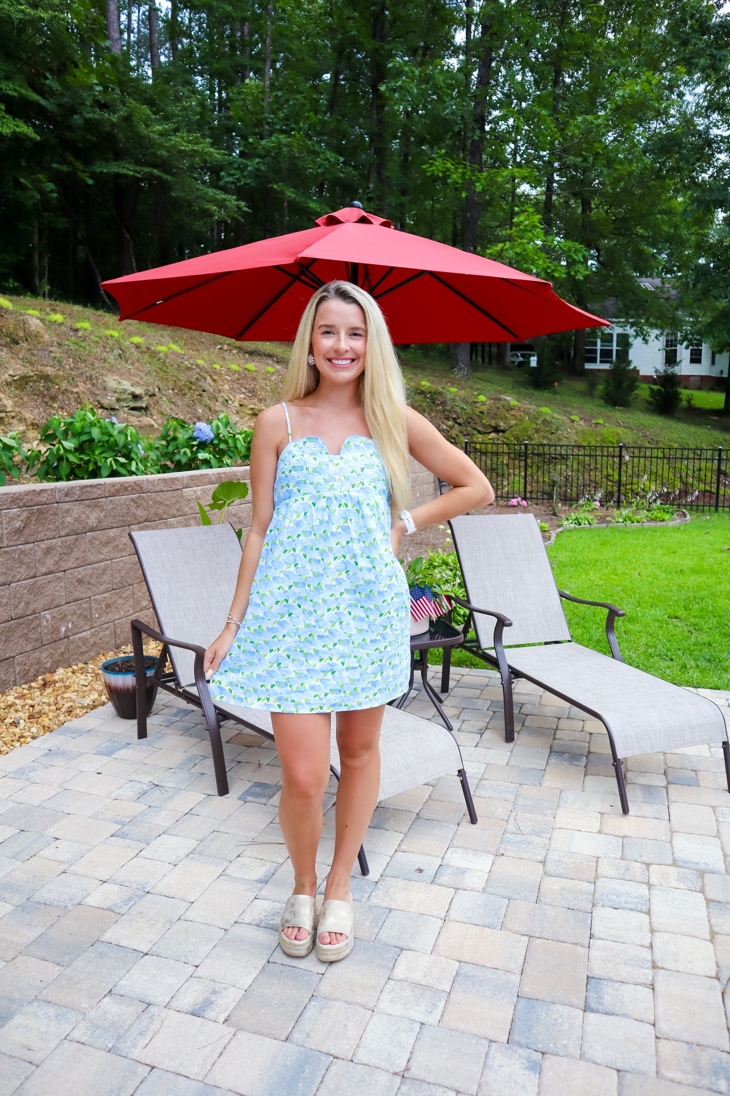 Butterfly Kisses Mini Dress