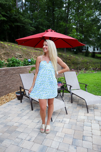 Butterfly Kisses Mini Dress